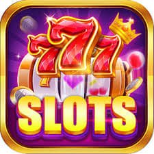wildbet777